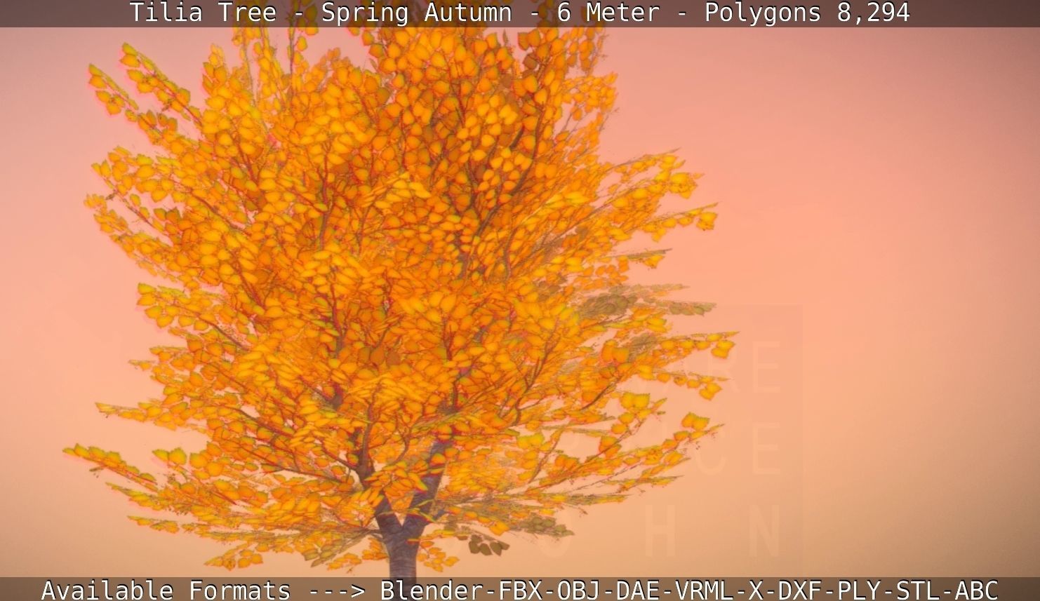 Tilia Tree - 6 Meter - Autumn  Low-poly 3D model_44
