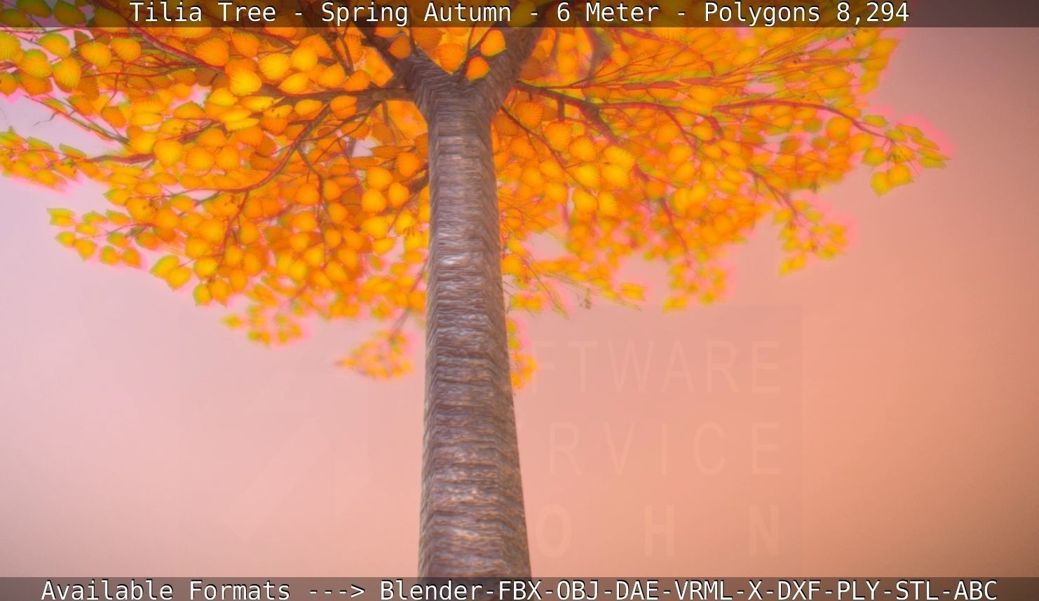 Tilia Tree - 6 Meter - Autumn  Low-poly 3D model_83