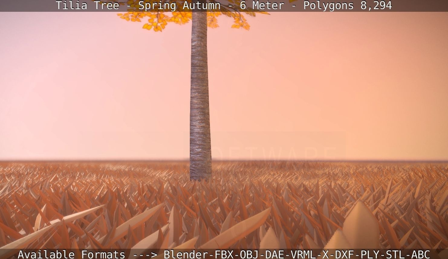 Tilia Tree - 6 Meter - Autumn  Low-poly 3D model_103