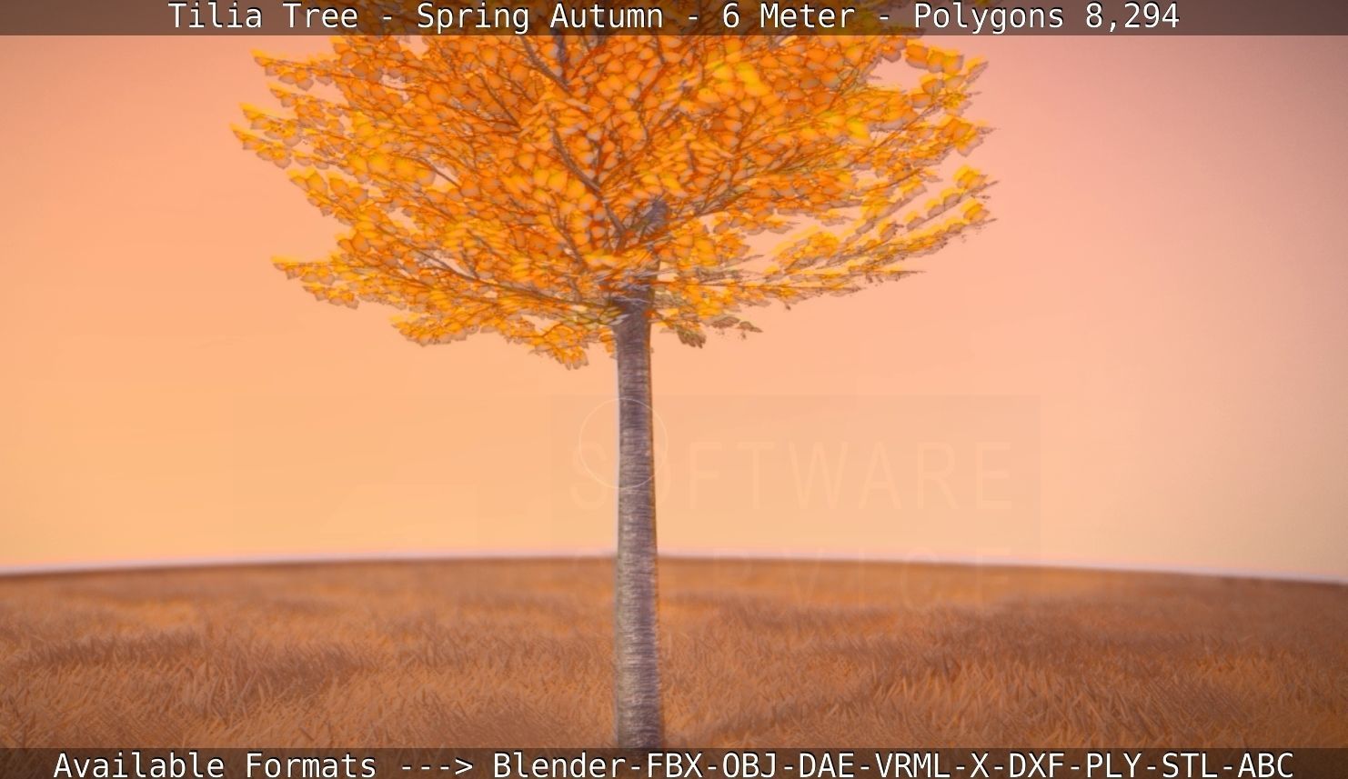 Tilia Tree - 6 Meter - Autumn  Low-poly 3D model_78