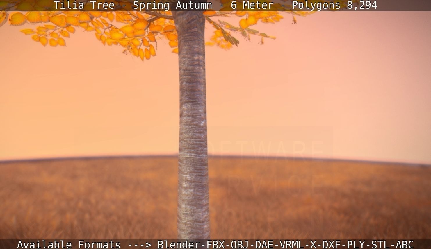 Tilia Tree - 6 Meter - Autumn  Low-poly 3D model_84