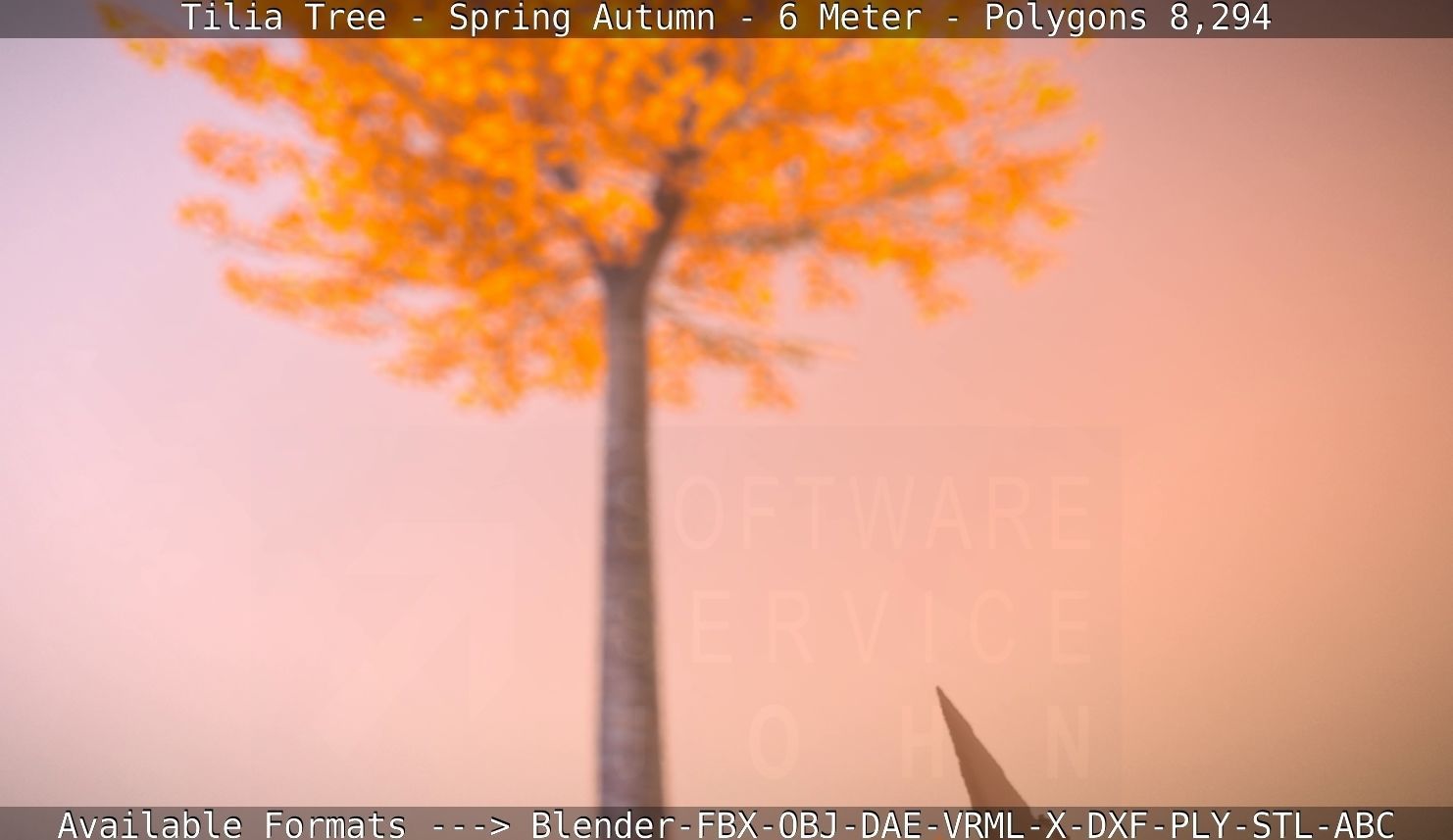 Tilia Tree - 6 Meter - Autumn  Low-poly 3D model_91