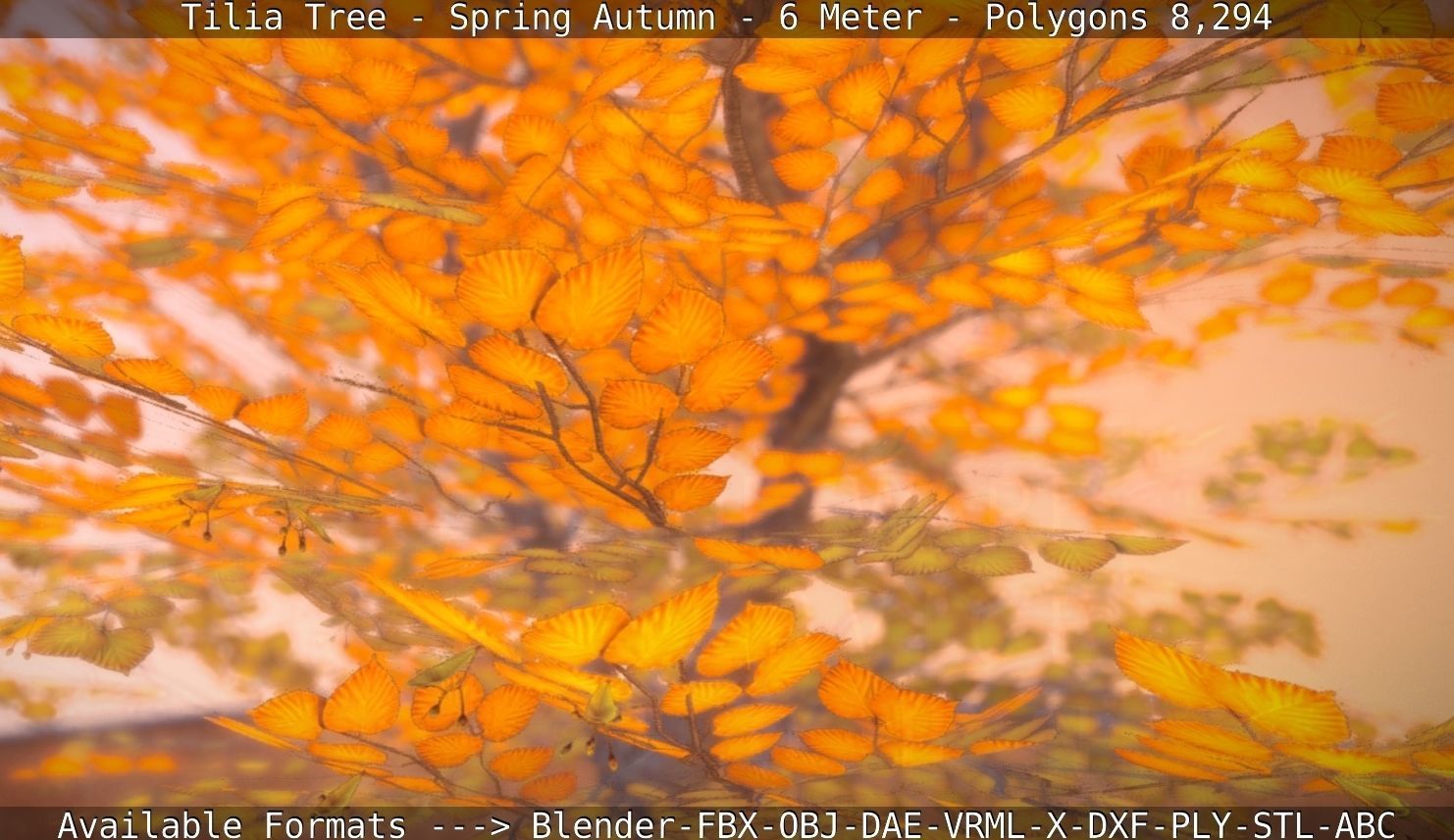 Tilia Tree - 6 Meter - Autumn  Low-poly 3D model_104