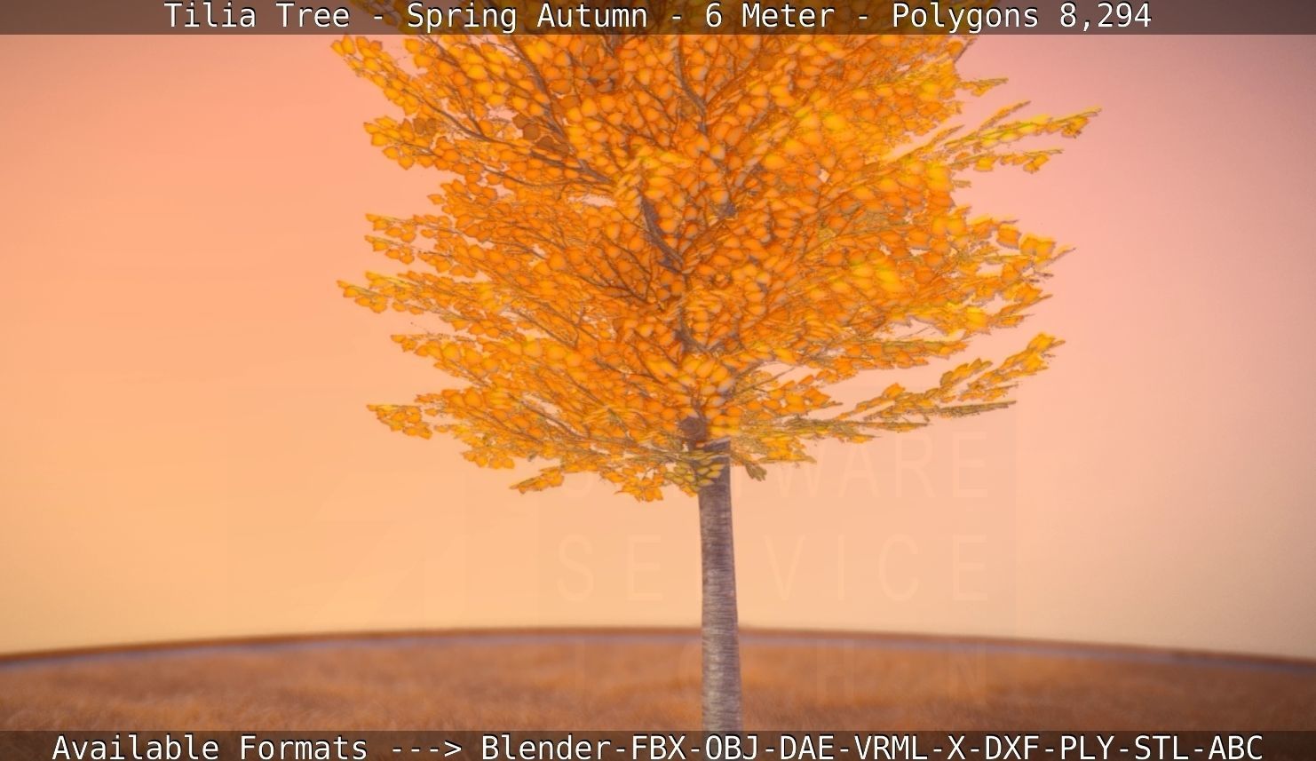Tilia Tree - 6 Meter - Autumn  Low-poly 3D model_72