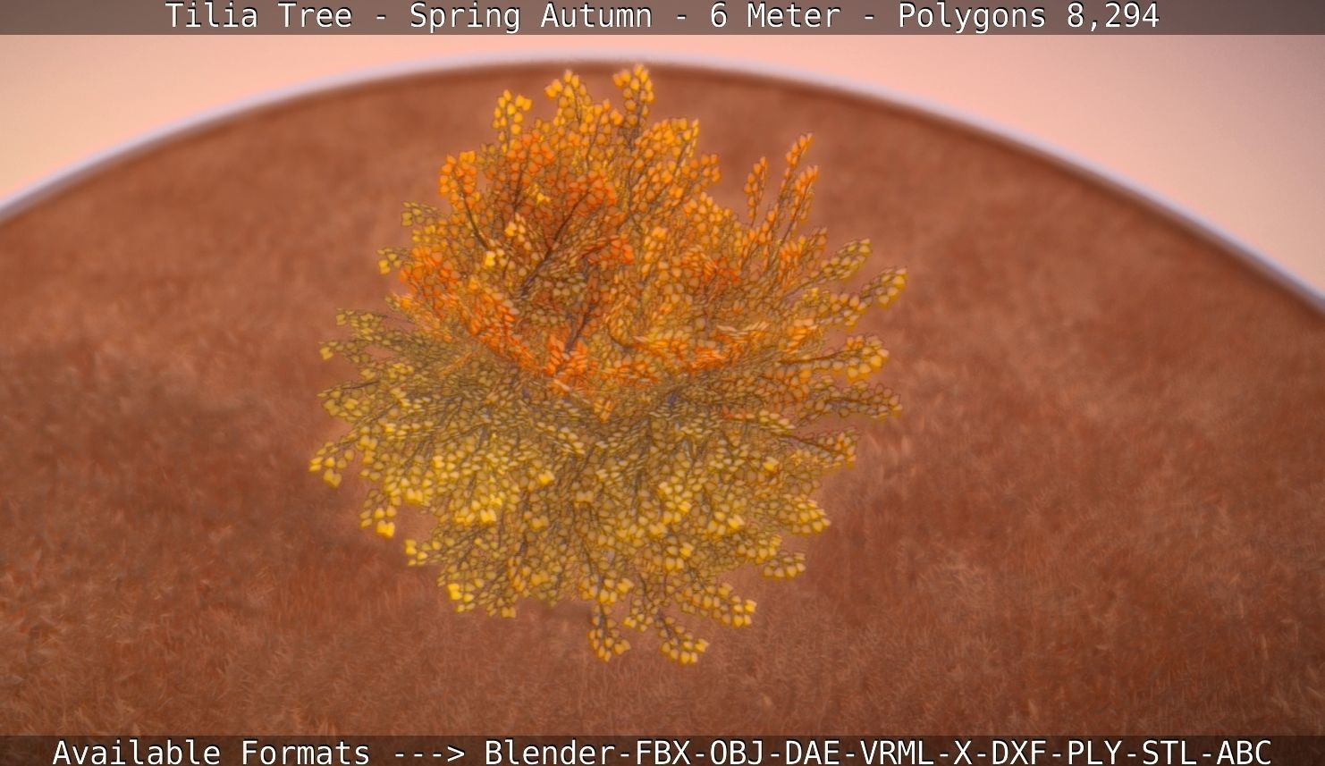 Tilia Tree - 6 Meter - Autumn  Low-poly 3D model_20