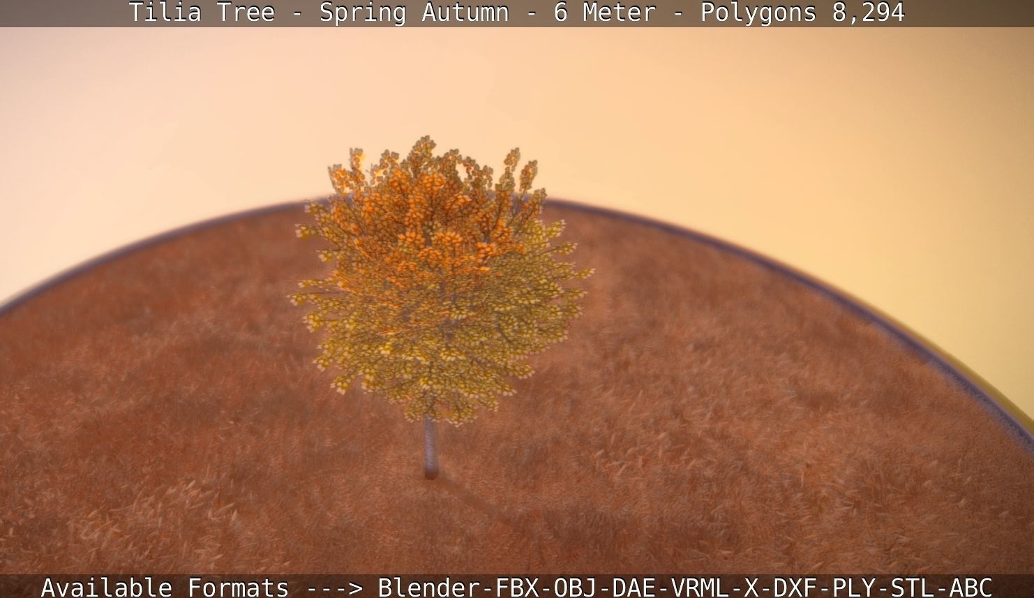 Tilia Tree - 6 Meter - Autumn  Low-poly 3D model_57
