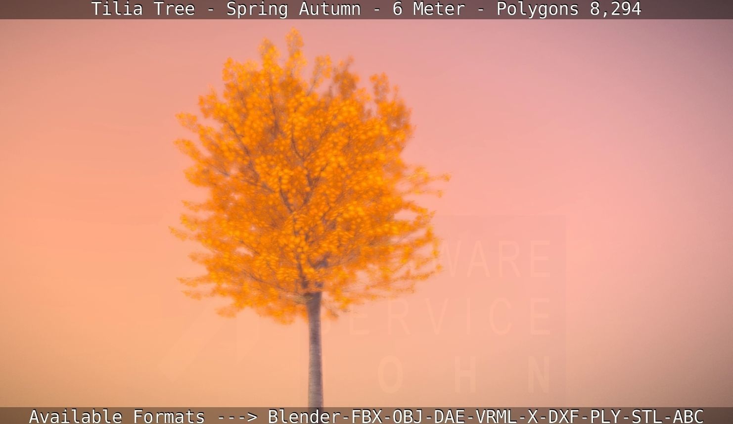 Tilia Tree - 6 Meter - Autumn  Low-poly 3D model_40