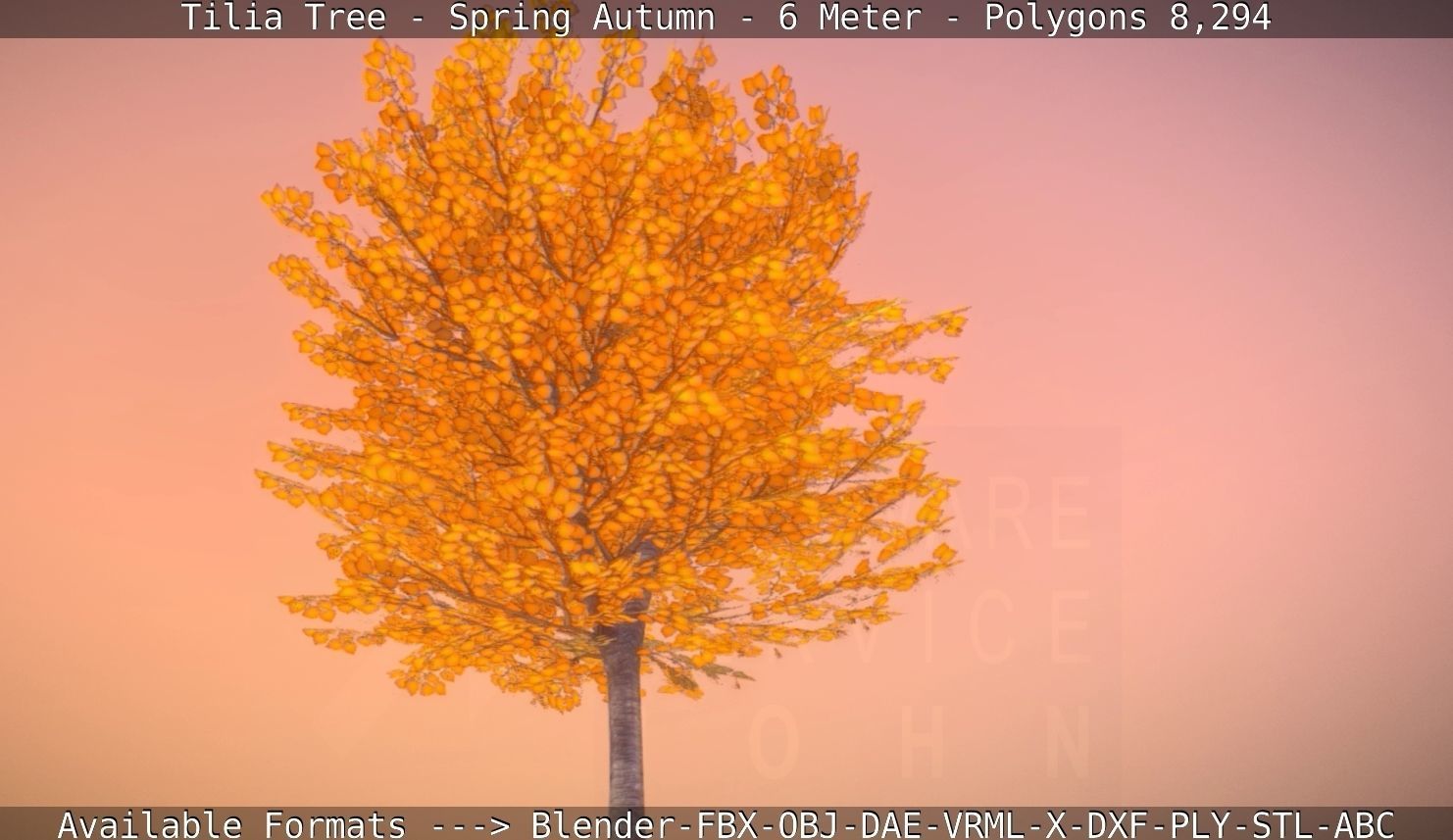 Tilia Tree - 6 Meter - Autumn  Low-poly 3D model_37