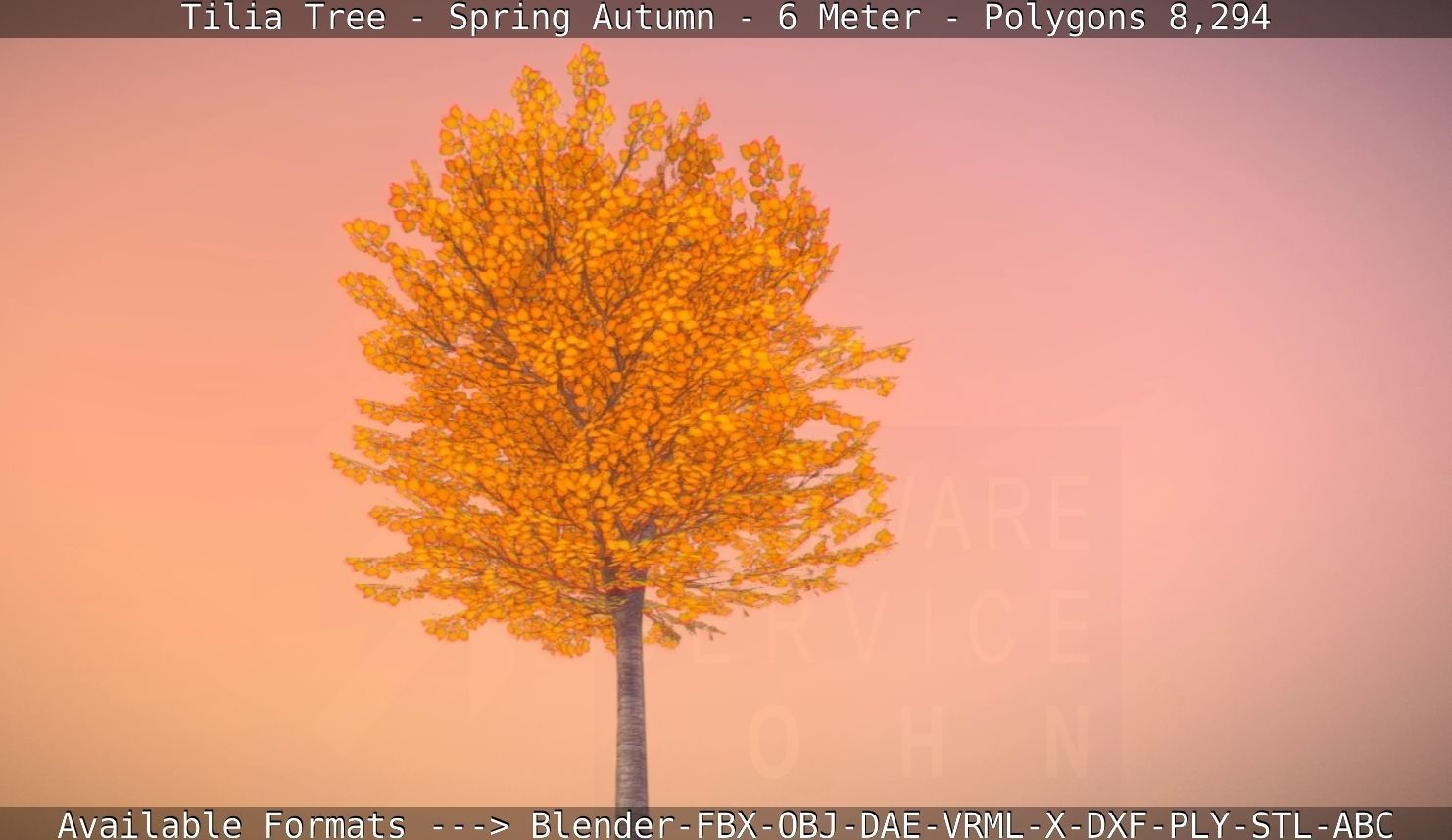 Tilia Tree - 6 Meter - Autumn  Low-poly 3D model_35