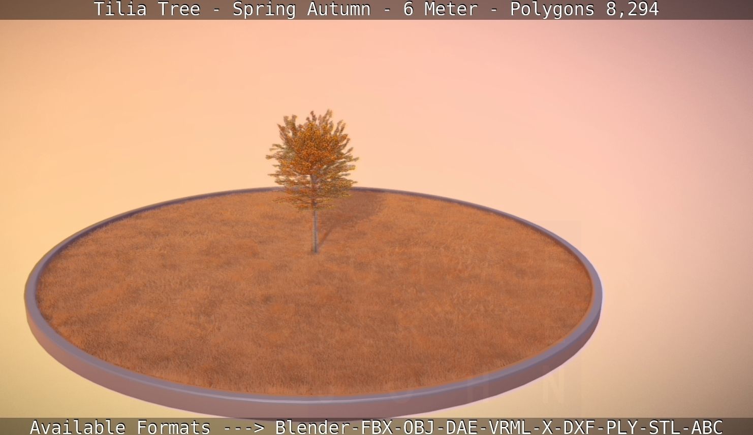 Tilia Tree - 6 Meter - Autumn  Low-poly 3D model_67