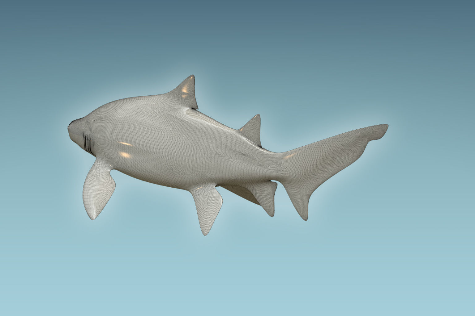 Sand Tiger Shark 3D model_7