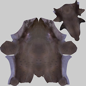 Sand Tiger Shark 3D model_9