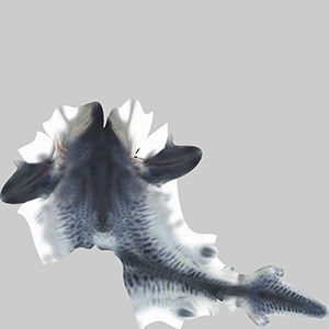 Tiger Shark 3D model_9