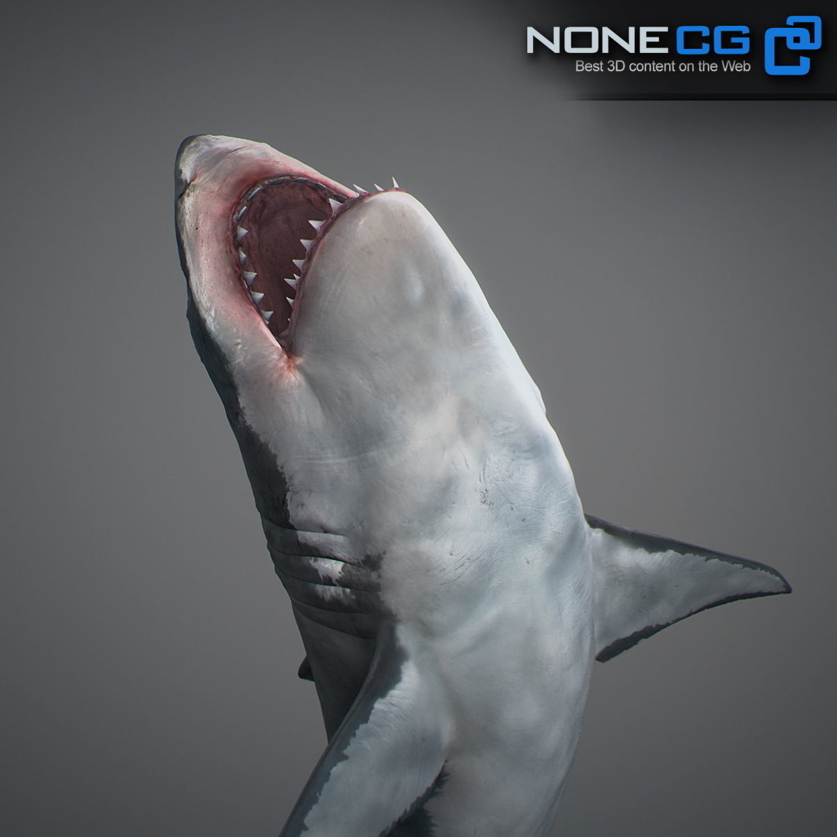 Animated Great White Shark Low-poly 3D model_23
