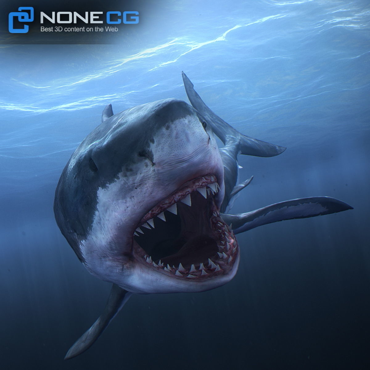 Animated Great White Shark Low-poly 3D model_21