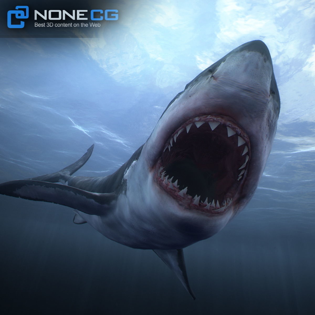 Animated Great White Shark Low-poly 3D model_11