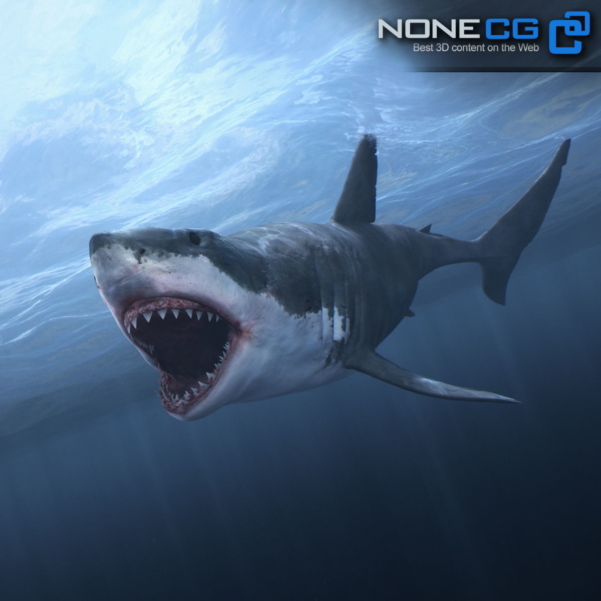 Animated Great White Shark Low-poly 3D model_2