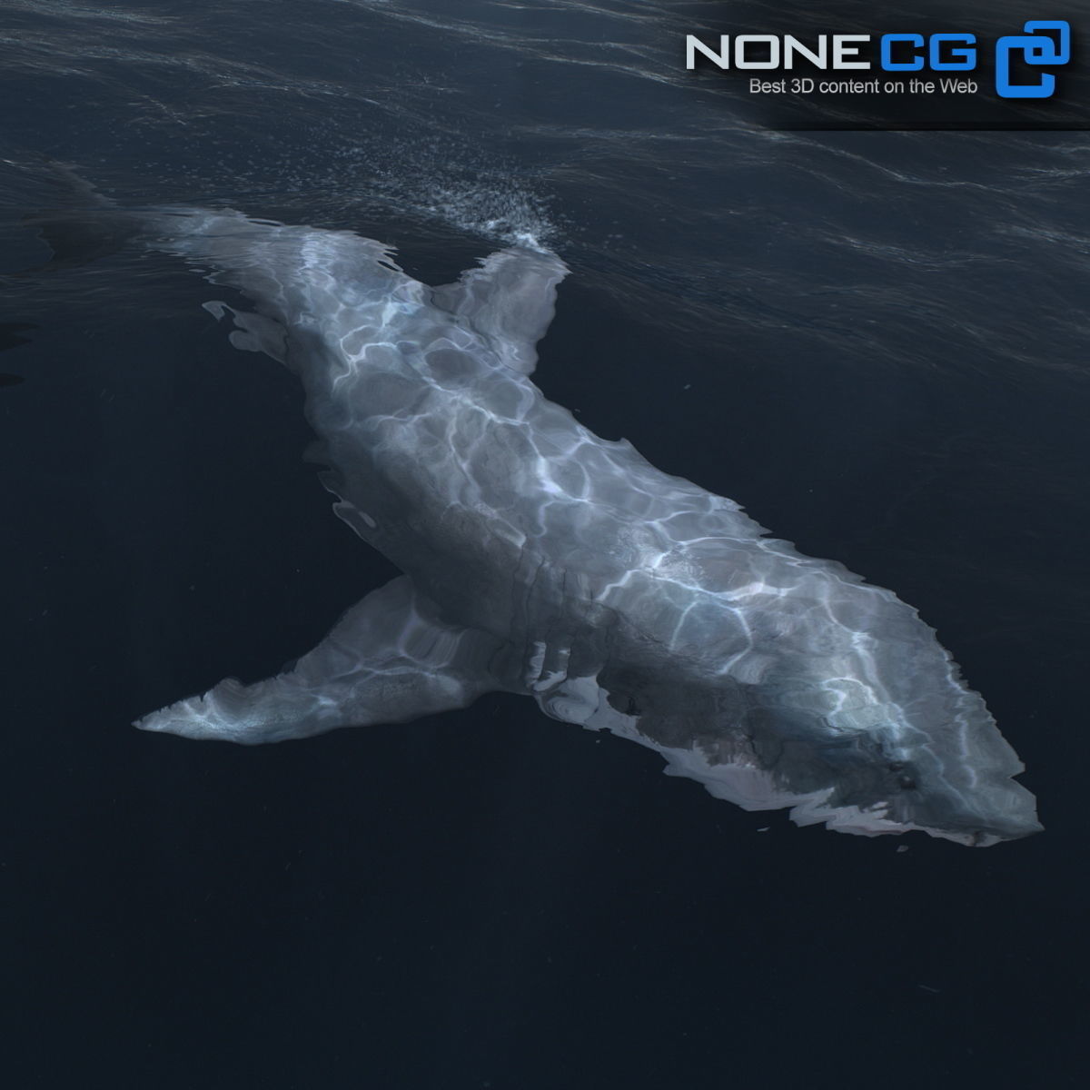 Animated Great White Shark Low-poly 3D model_4