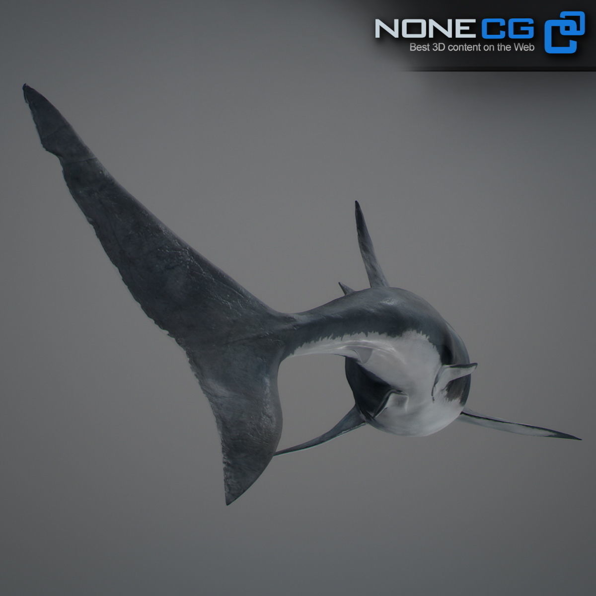 Animated Great White Shark Low-poly 3D model_34