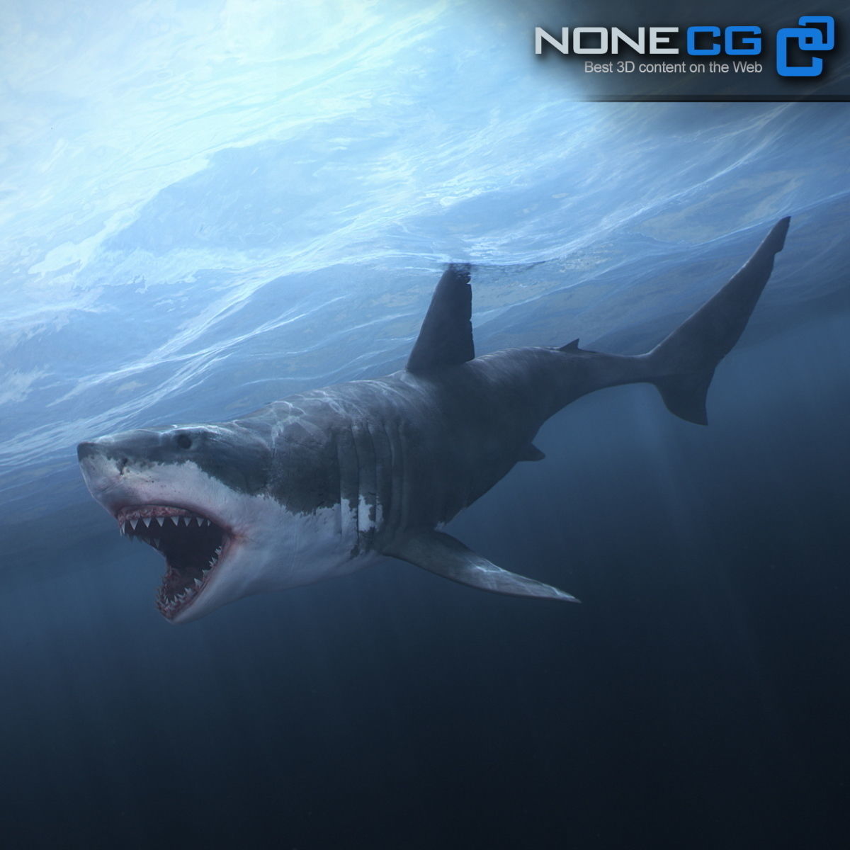 Animated Great White Shark Low-poly 3D model_16