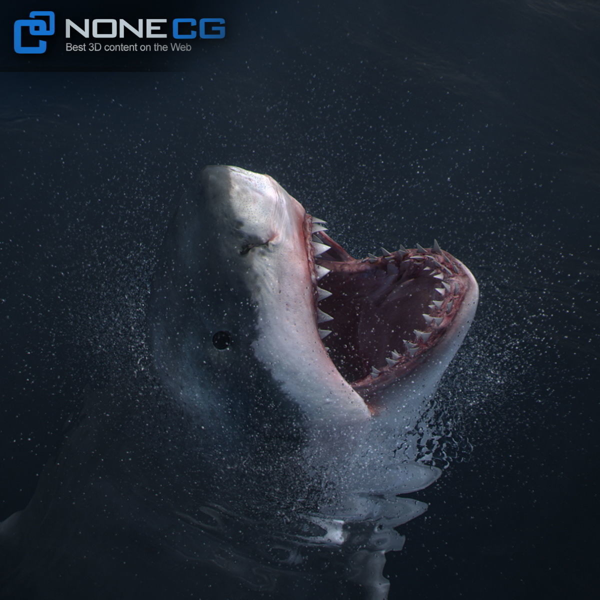 Animated Great White Shark Low-poly 3D model_3