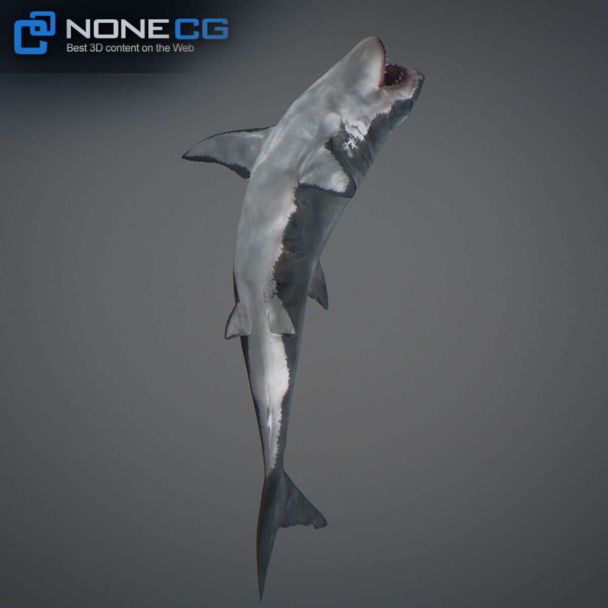 Animated Great White Shark Low-poly 3D model_27