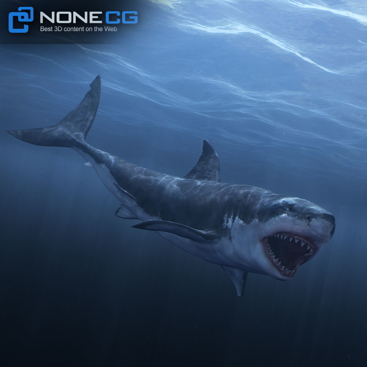 Animated Great White Shark Low-poly 3D model_19