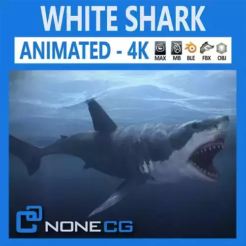 Animated Great White Shark Low-poly 3D model