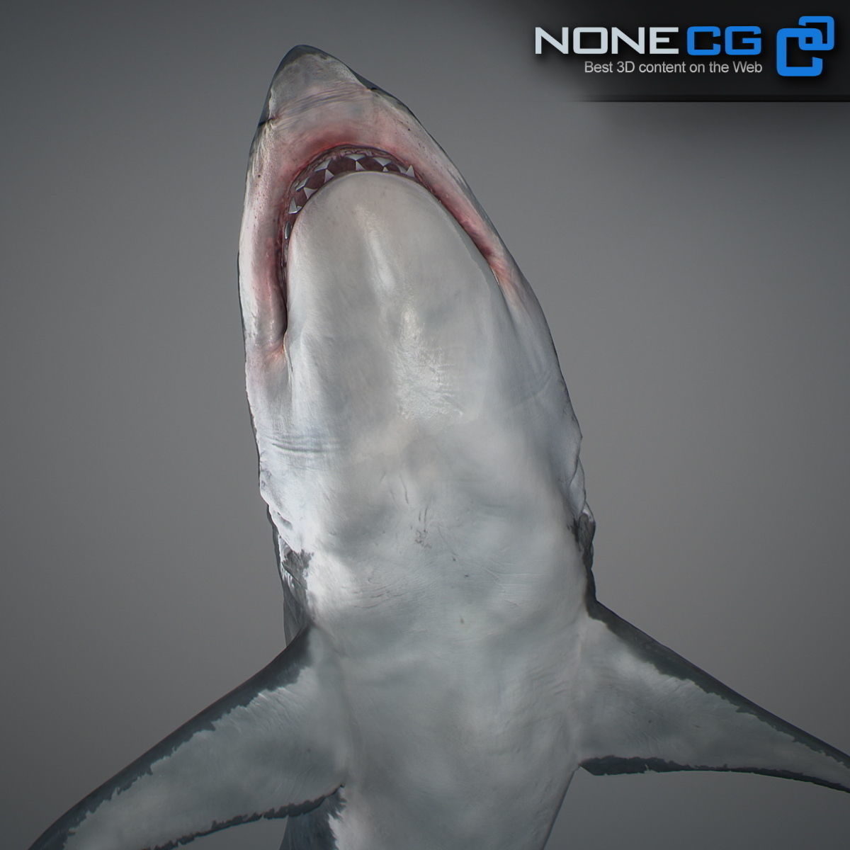 Animated Great White Shark Low-poly 3D model_9