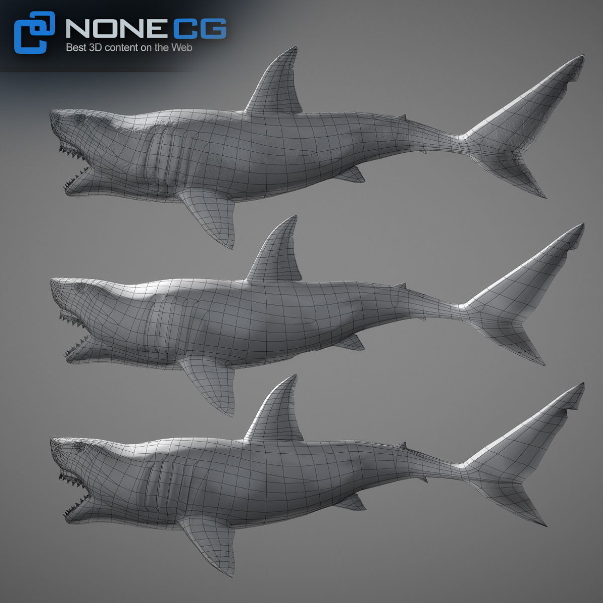 Animated Great White Shark Low-poly 3D model_35