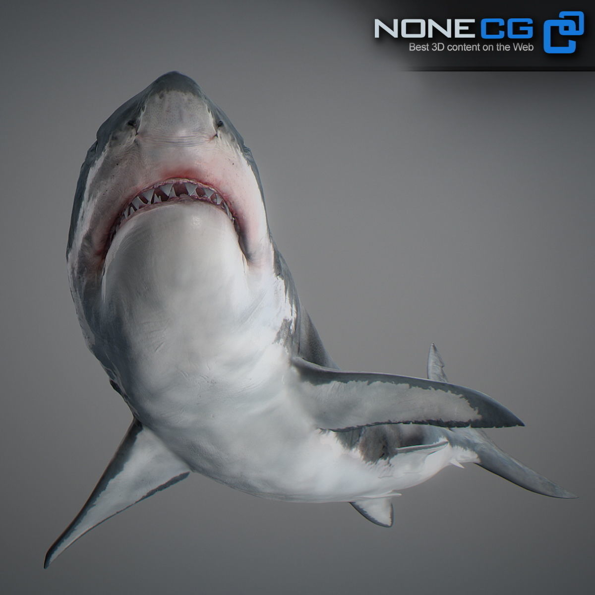 Animated Great White Shark Low-poly 3D model_18