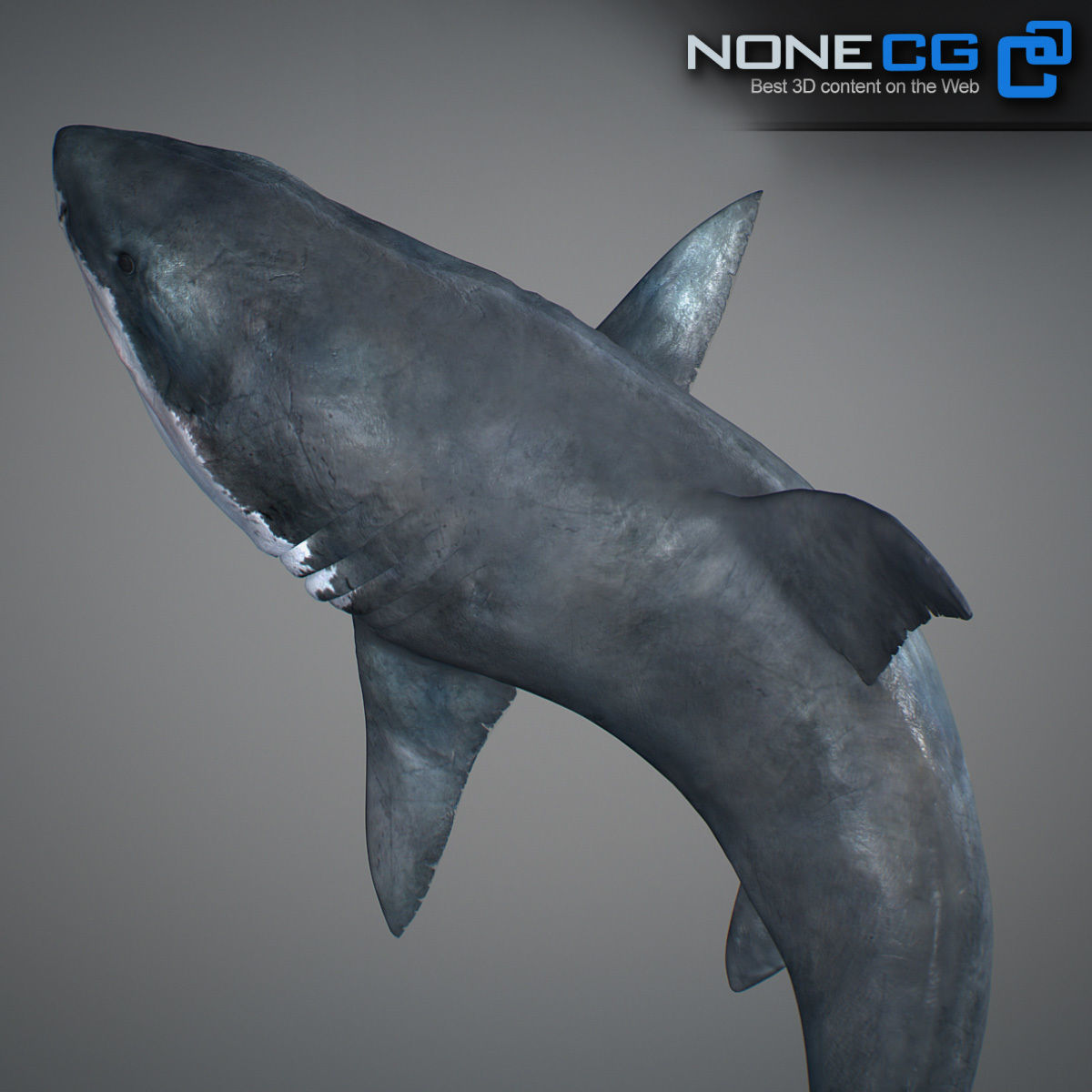 Animated Great White Shark Low-poly 3D model_8