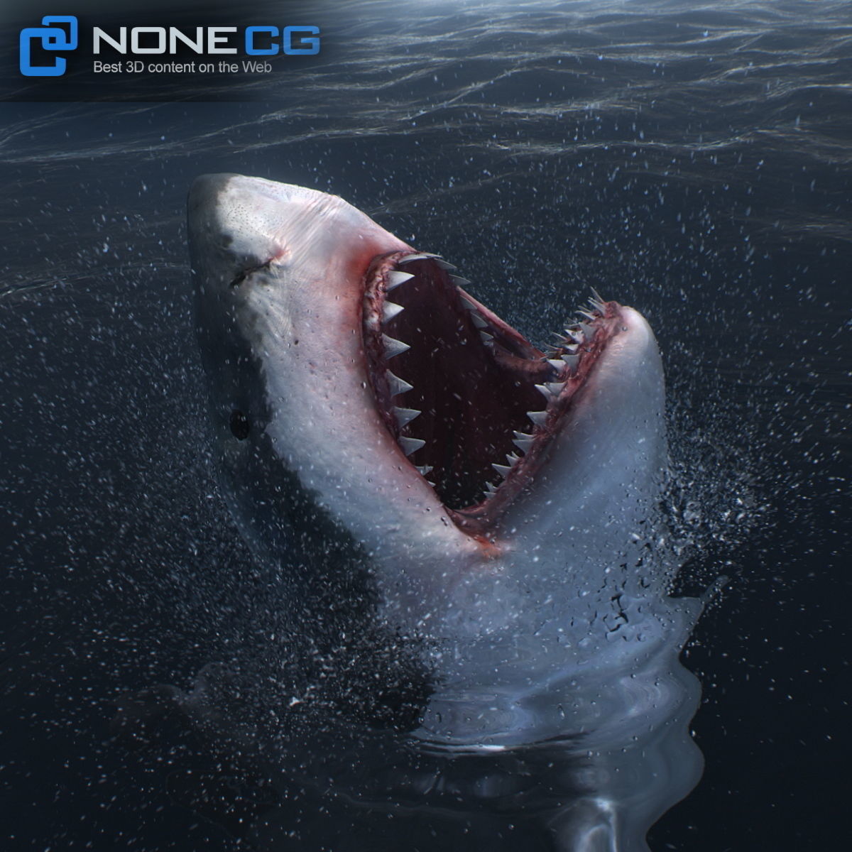 Animated Great White Shark Low-poly 3D model_25