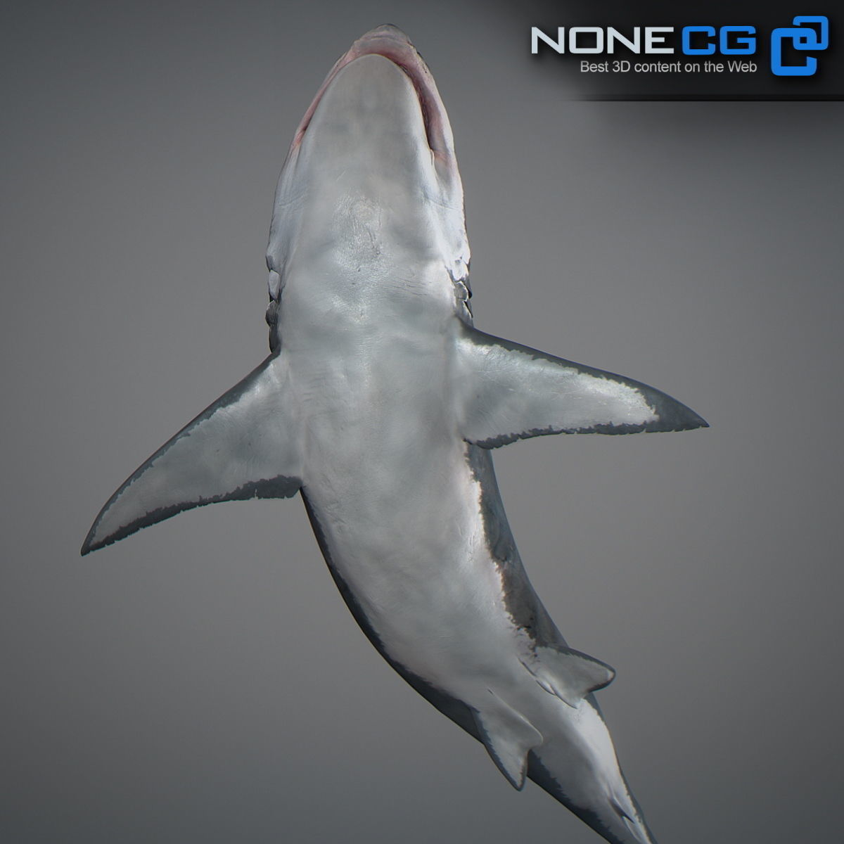 Animated Great White Shark Low-poly 3D model_30