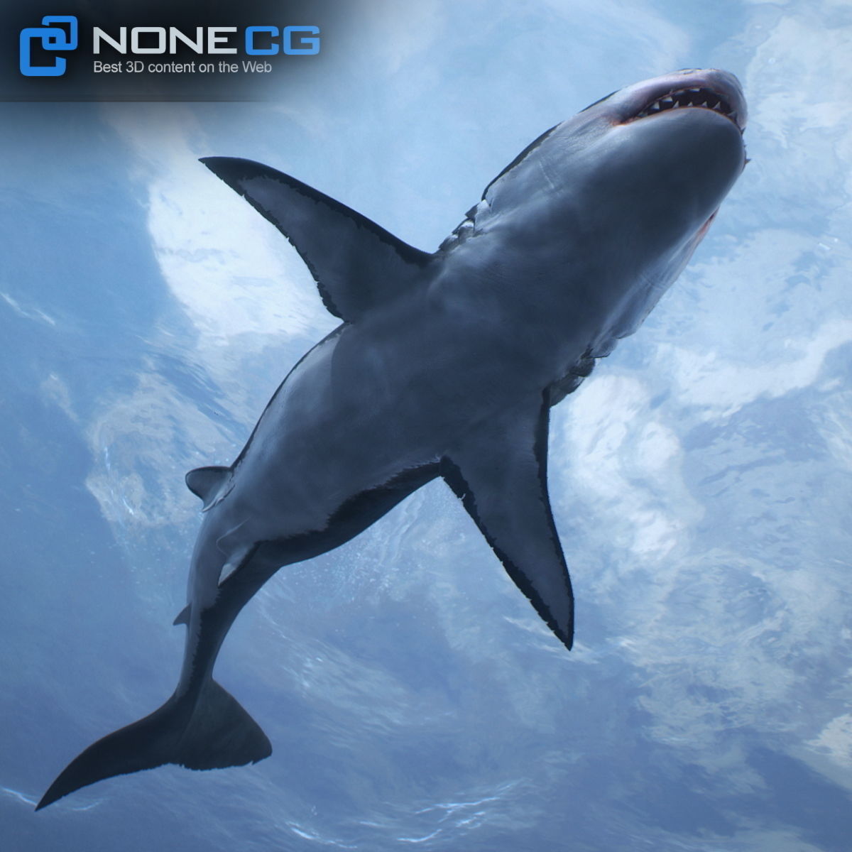 Animated Great White Shark Low-poly 3D model_28