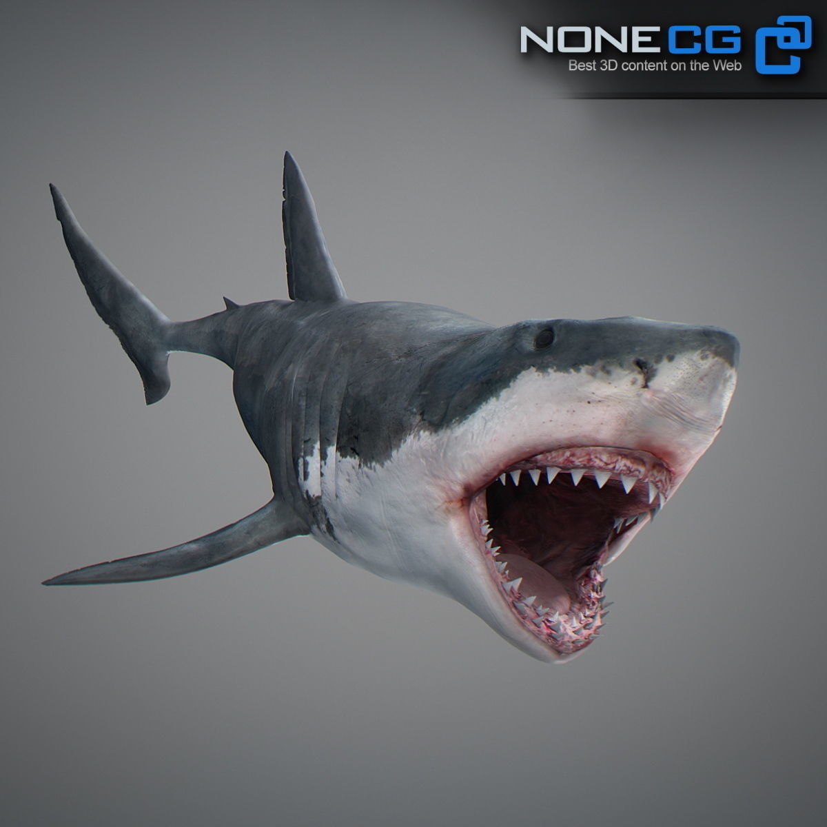 Animated Great White Shark Low-poly 3D model_5