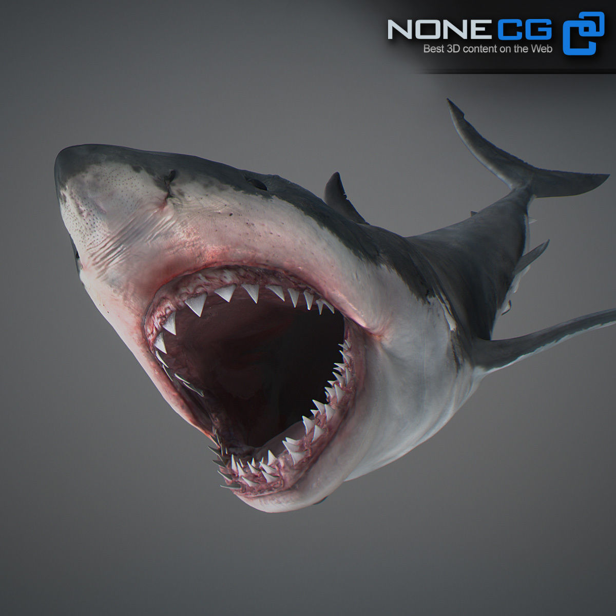 Animated Great White Shark Low-poly 3D model_7