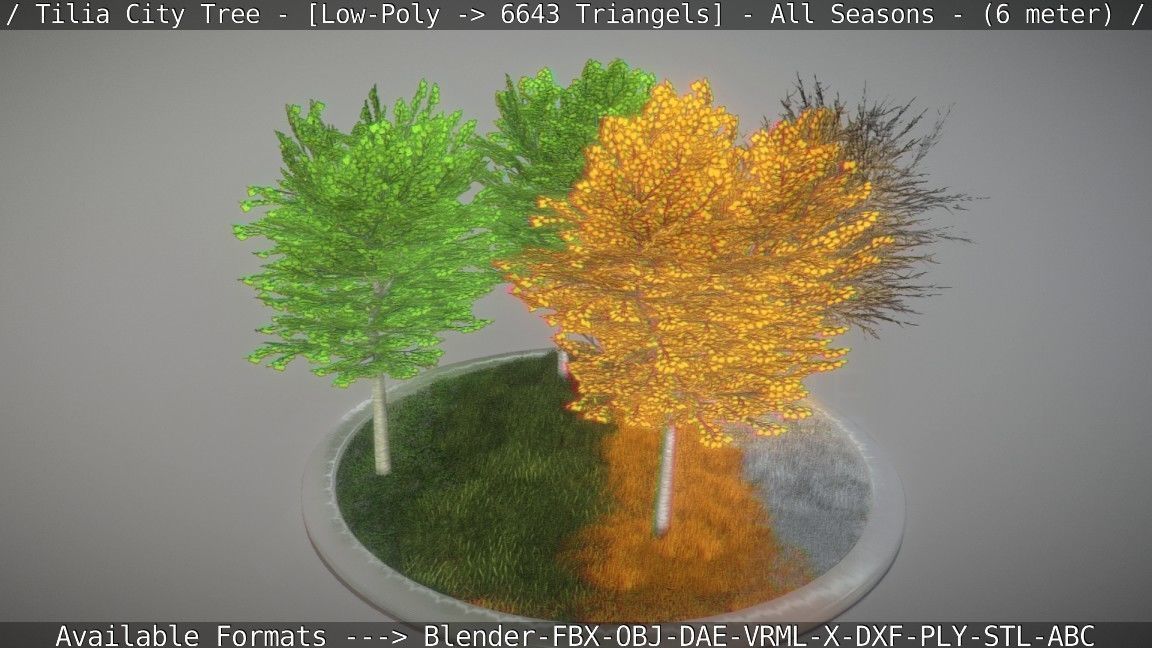 Tilia Tree - 6 Meter -  All Seasons Low-poly 3D model_20