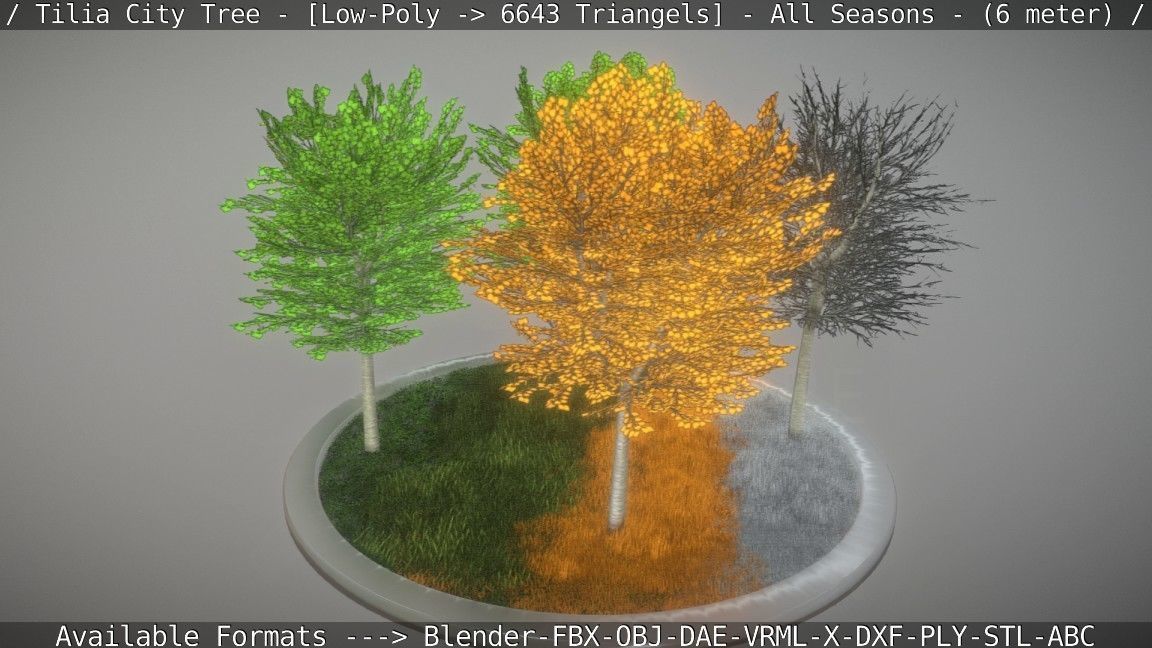 Tilia Tree - 6 Meter -  All Seasons Low-poly 3D model_24