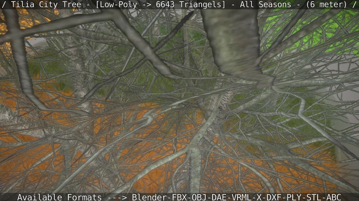 Tilia Tree - 6 Meter -  All Seasons Low-poly 3D model_58