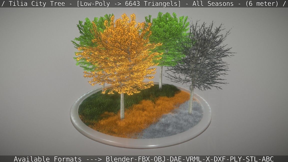 Tilia Tree - 6 Meter -  All Seasons Low-poly 3D model_31