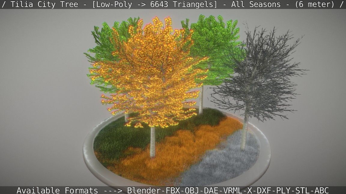 Tilia Tree - 6 Meter -  All Seasons Low-poly 3D model_28