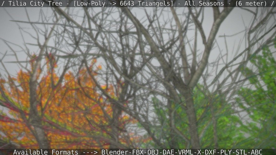 Tilia Tree - 6 Meter -  All Seasons Low-poly 3D model_72