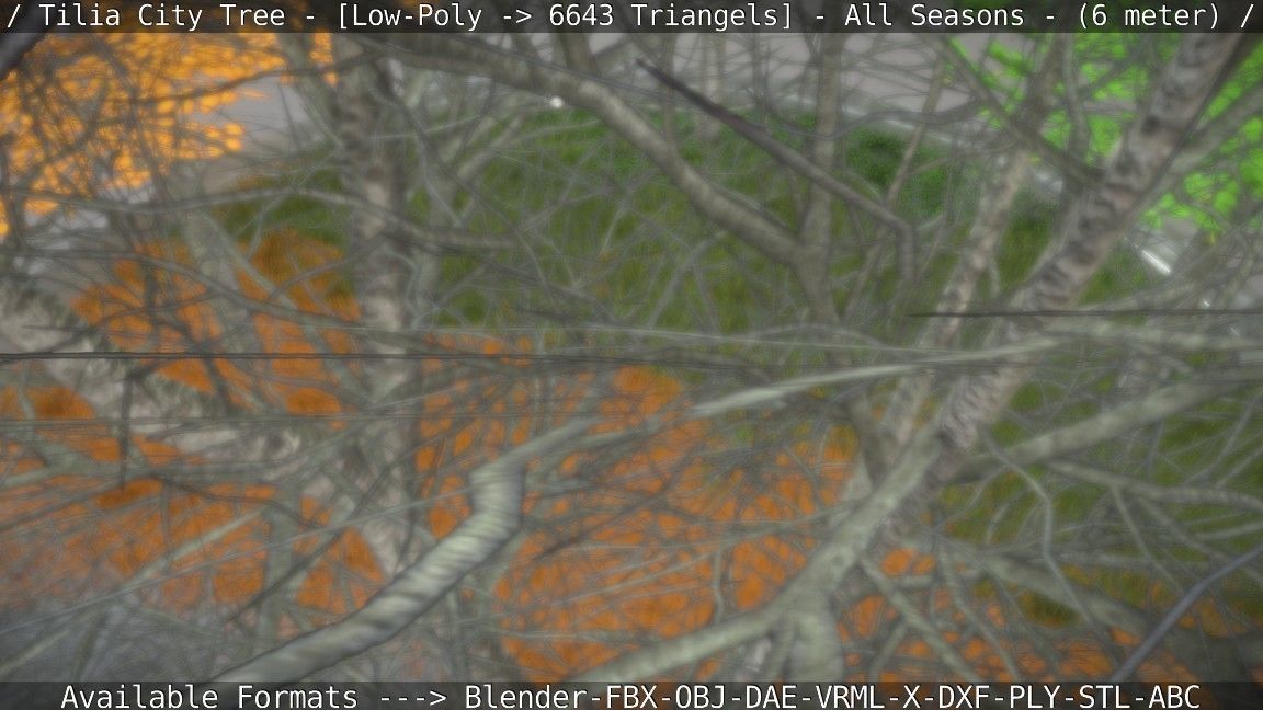 Tilia Tree - 6 Meter -  All Seasons Low-poly 3D model_65