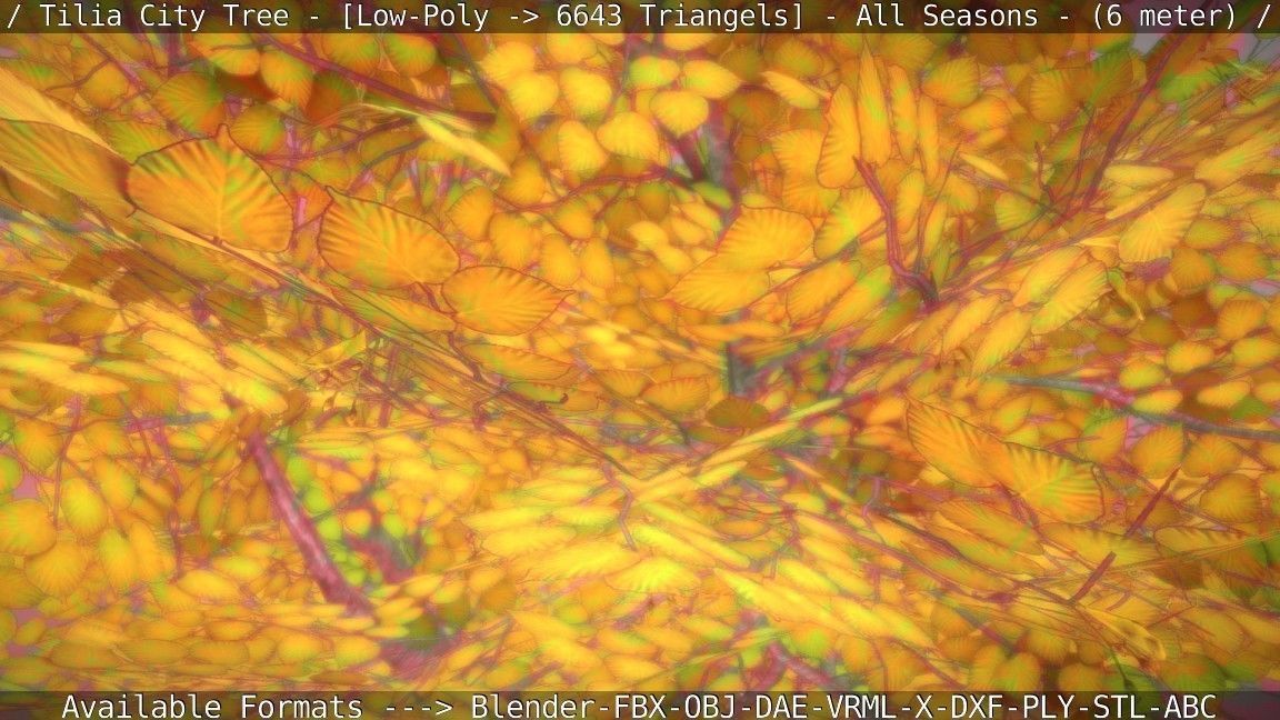 Tilia Tree - 6 Meter -  All Seasons Low-poly 3D model_4