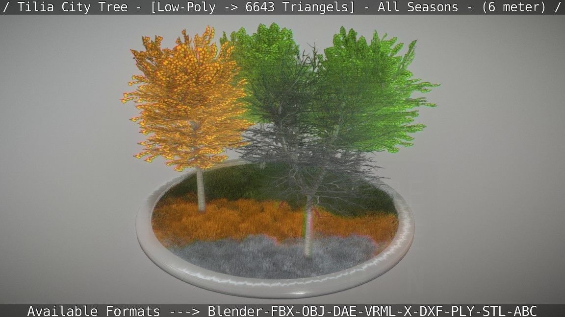 Tilia Tree - 6 Meter -  All Seasons Low-poly 3D model_30