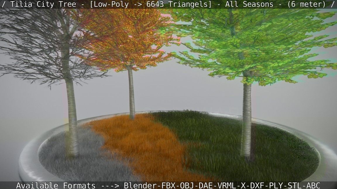 Tilia Tree - 6 Meter -  All Seasons Low-poly 3D model_41