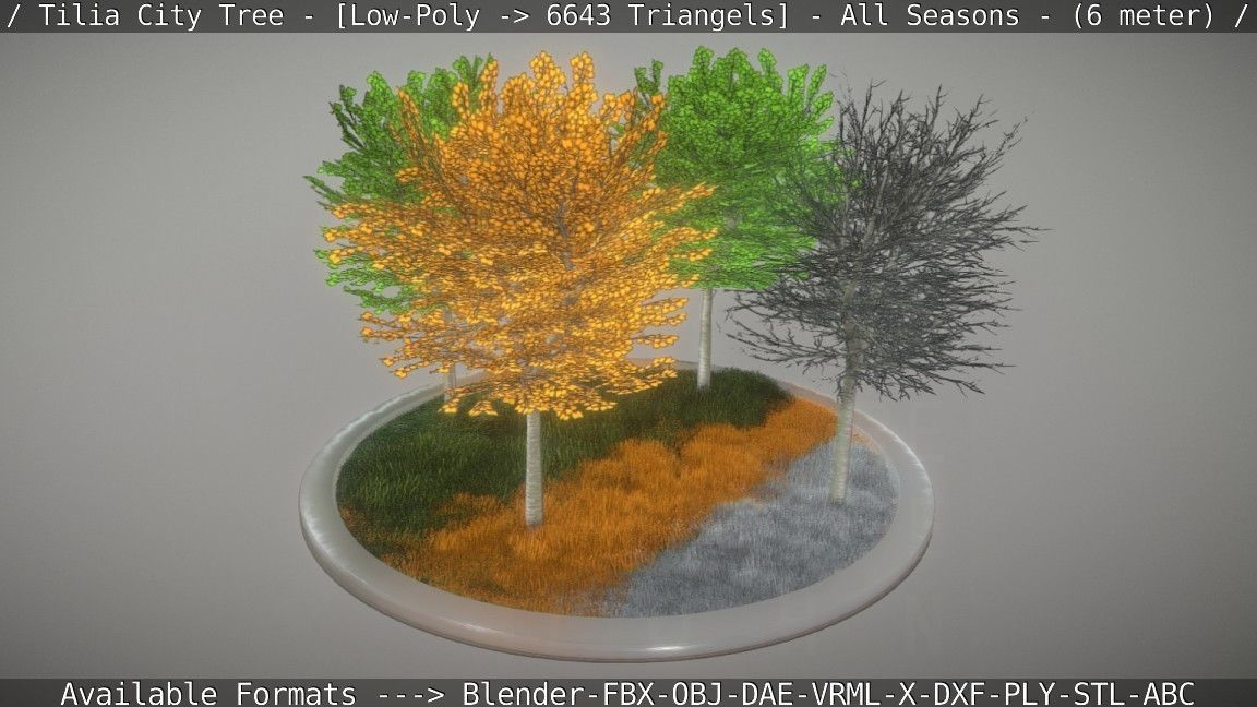 Tilia Tree - 6 Meter -  All Seasons Low-poly 3D model_29