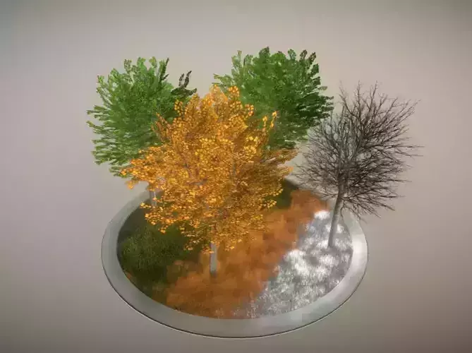 Tilia Tree - 6 Meter -  All Seasons Low-poly 3D model