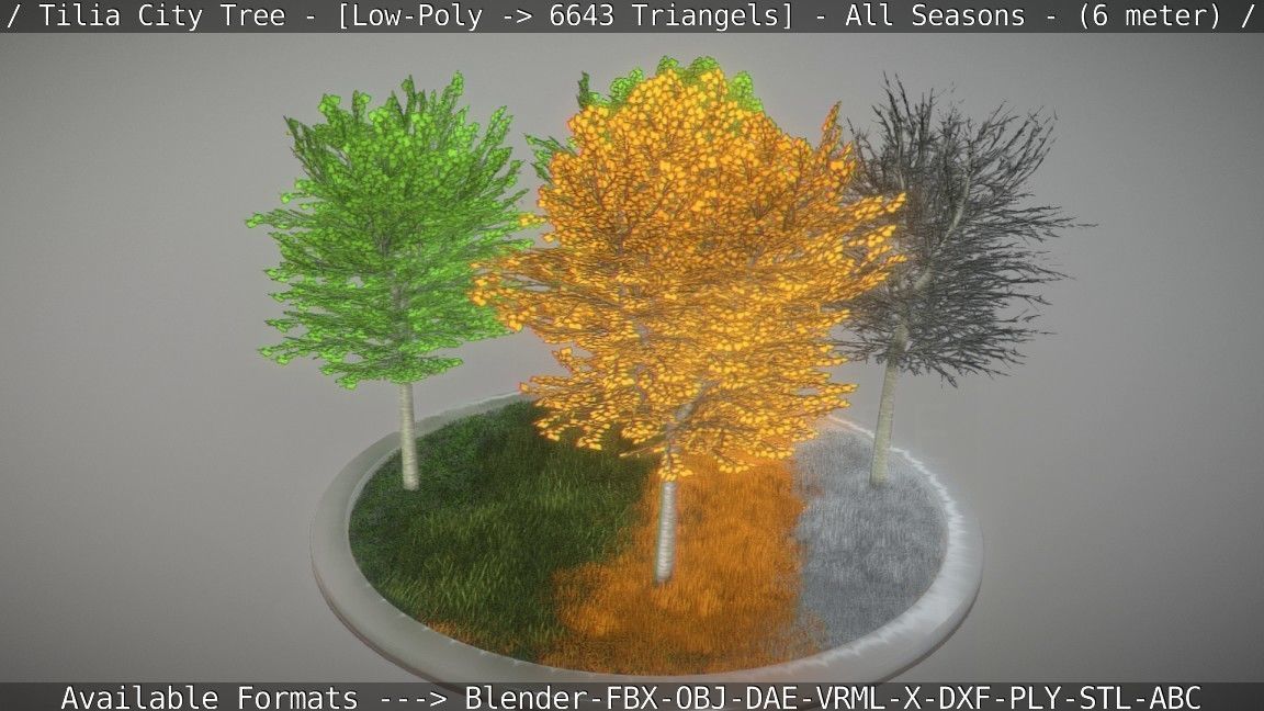 Tilia Tree - 6 Meter -  All Seasons Low-poly 3D model_21